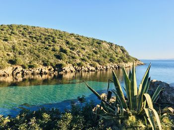 Scenic view of sea against clear blue sky