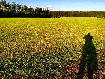 Scenic view of grassy field against sky