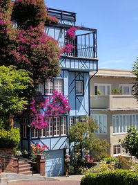 Pink flowering tree by building against sky