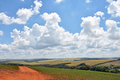 Scenic view of agricultural field against sky