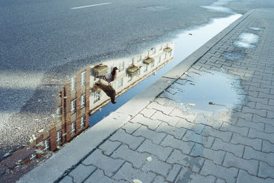 High angle view of woman in water