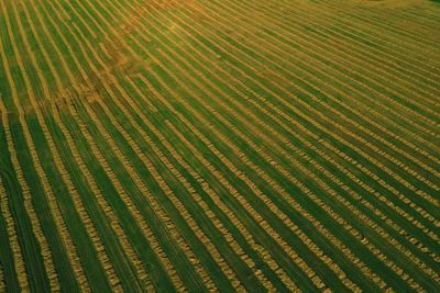 Full frame shot of farm