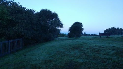 Trees on grass against sky