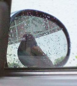 Reflection of man on glass window