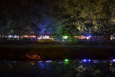 Illuminated trees by lake against sky at night