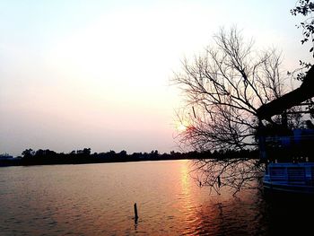 Silhouette bare tree by lake against clear sky