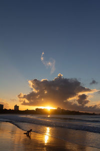 Silhouette person on beach against sky during sunset