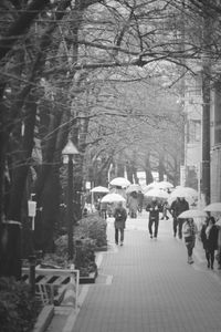 People walking on footpath