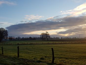 Scenic view of agricultural field against sky during sunset