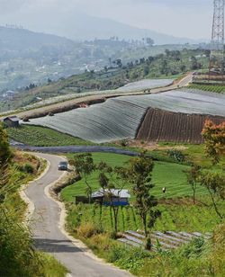 High angle view of agricultural field