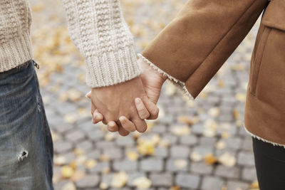 Couple holding hands during autumn