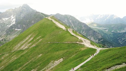 Scenic view of landscape