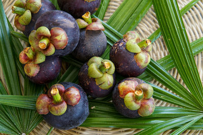 High angle view of fresh fruits in basket on table