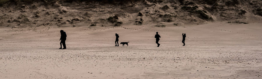 Rear view of man on sand at beach