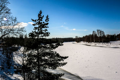 Trees on snow covered field against sky