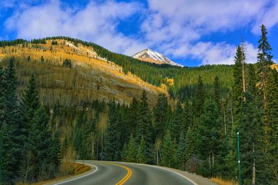 Road amidst trees against sky