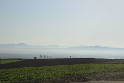 Scenic view of field against sky