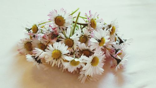 Close-up of white flowers