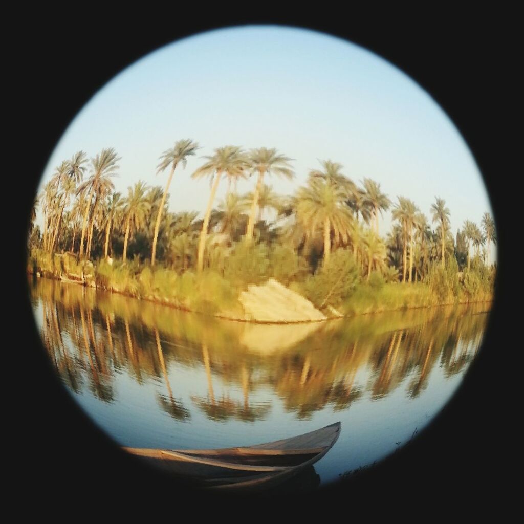 reflection, tree, water, tranquility, lake, tranquil scene, nature, standing water, sky, beauty in nature, clear sky, scenics, growth, waterfront, no people, transparent, day, plant, indoors, copy space