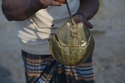 Midsection of man holding horseshoe crab on road