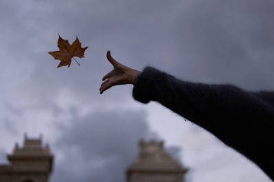 Person holding maple leaves against sky during autumn
