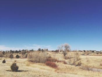 View of field against clear blue sky