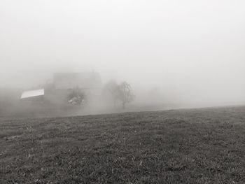 Scenic view of field in foggy weather