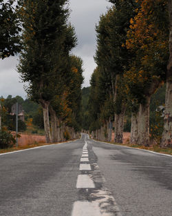 Road amidst trees during autumn