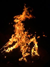 Close-up of bonfire at night