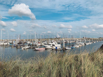 Sailboats moored in harbor against sky