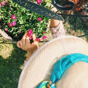 High angle view of woman plucking flowers