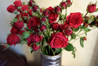 Close-up of red roses in vase