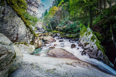 Stream flowing through rocks in forest