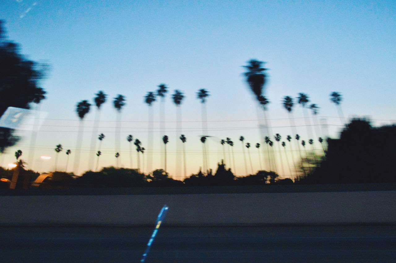 SILHOUETTE OF TREES BY ROAD AGAINST SKY