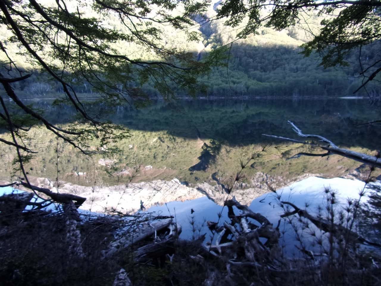 tree, lake, plant, nature, water, reflection, tranquility, day, forest, scenics - nature, tranquil scene, non-urban scene, no people, beauty in nature, mountain, land, rock, environment, landscape