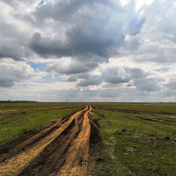 Scenic view of field against sky