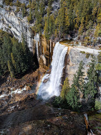 Scenic view of waterfall in forest