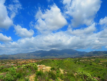 Scenic view of landscape against sky