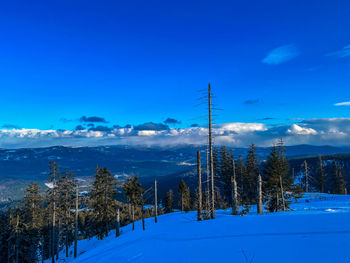 snow