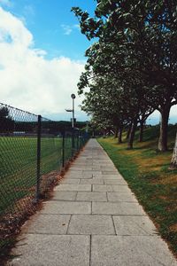 Walkway in park