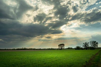 The sun's rays in the cloudy sky over a green field