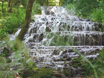 River flowing through forest