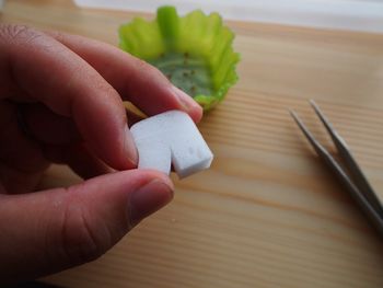 Cropped image of person holding white sponge on table