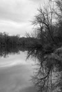 Reflection of bare trees in lake against sky