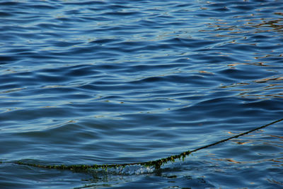 Full frame shot of rippled water