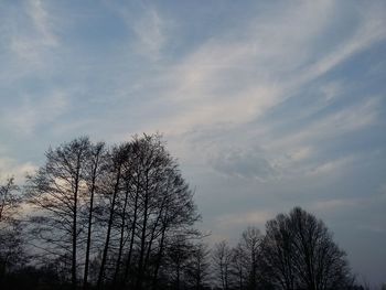 Low angle view of bare tree against cloudy sky