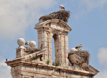 Low angle view of stork in old building against the sky