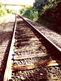 Railroad tracks in autumn