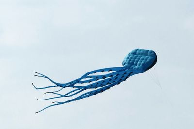 Low angle view of kite against sky