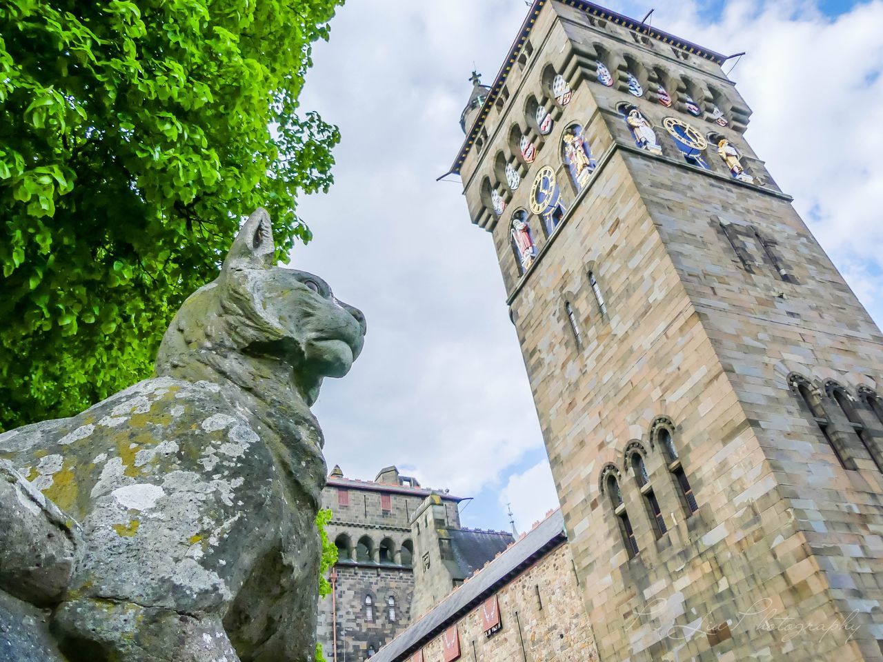 Cat. City Cityscape Statue Sculpture Gargoyle Sky Architecture Building Exterior Cloud - Sky Built Structure Historic Castle